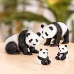 TERRA - FAMILLE DE PANDAS